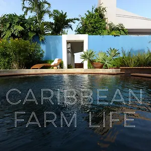 Bed & Breakfast 4 Casitas 